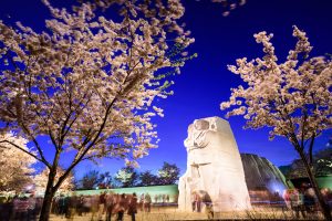 remember martin luther king, jr.
