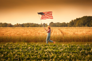 From Liberty to Magnolia In Search of the American Dream