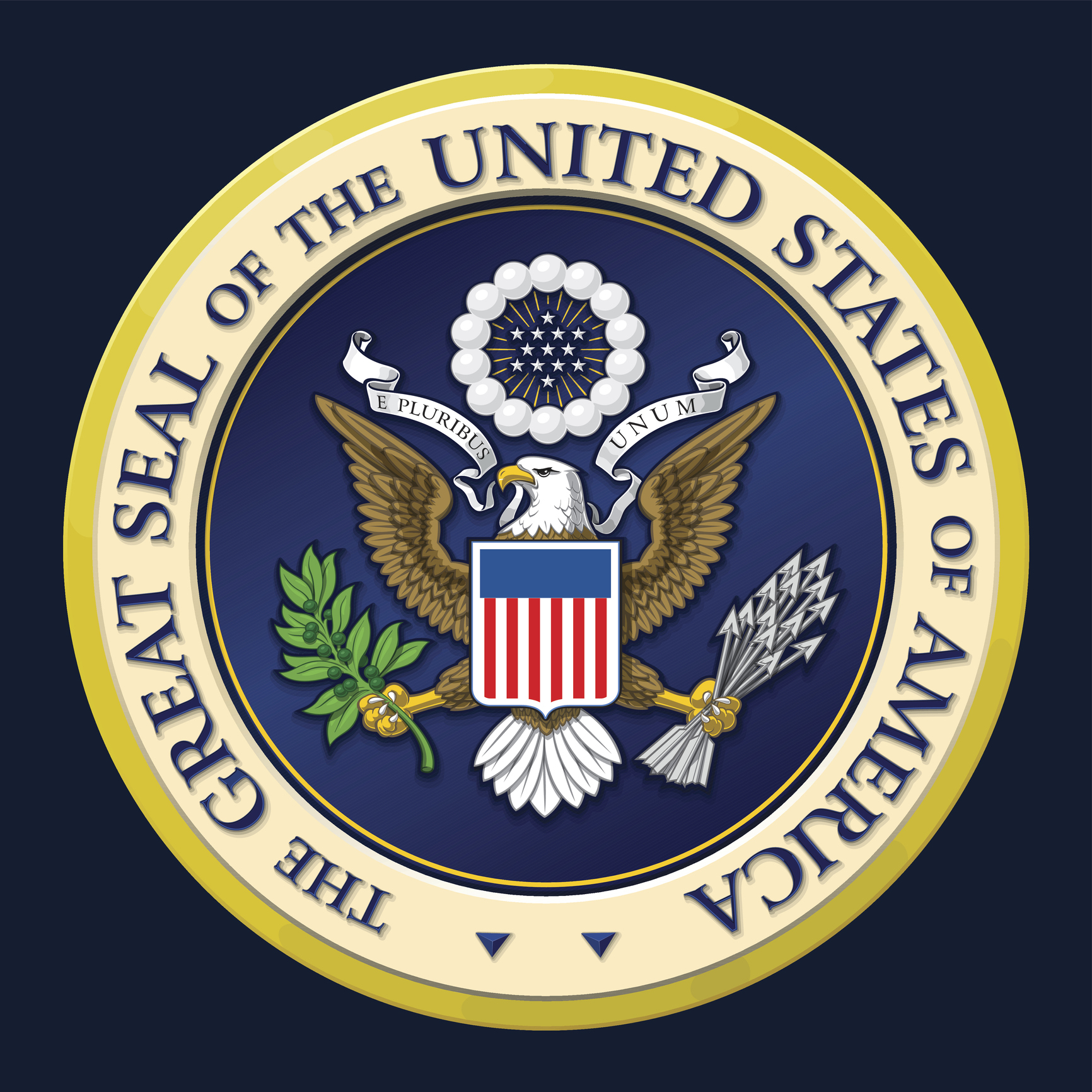 Qualifications To Be President Of United States Janice S Ellis Ph D 